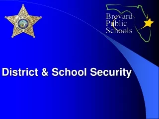 District &amp; School Security