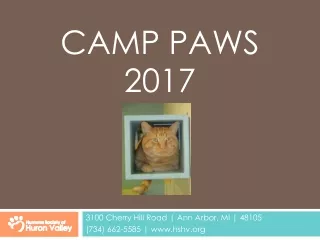 Camp PAWS  2017