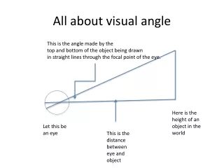 All about visual angle