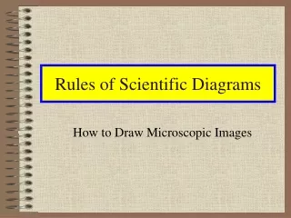 Rules of Scientific Diagrams