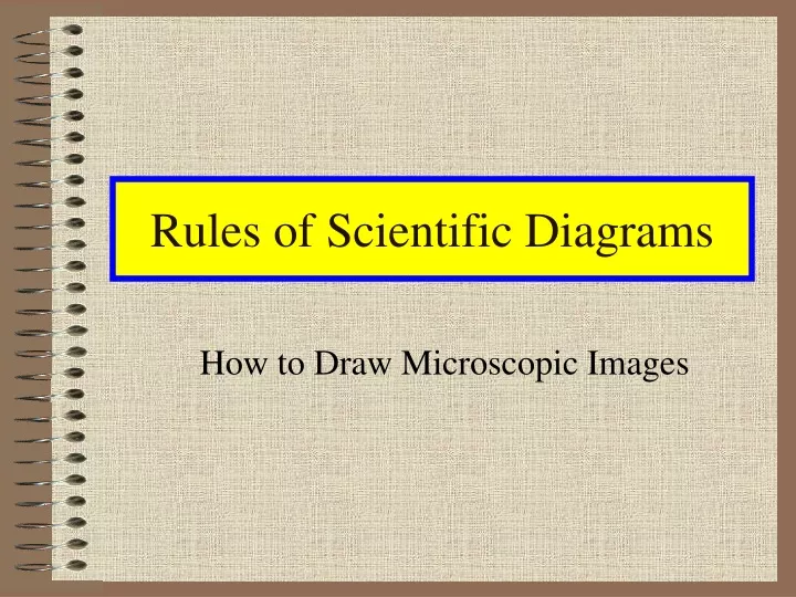 rules of scientific diagrams