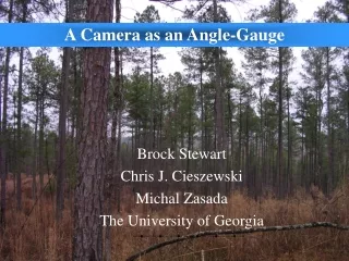 A Camera as an Angle-Gauge