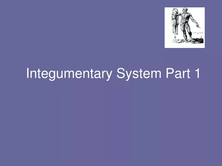integumentary system part 1