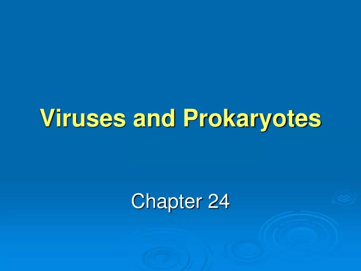 viruses and prokaryotes