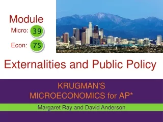 Externalities and Public Policy