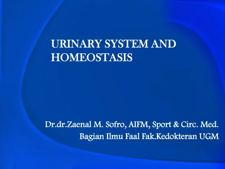 urinary system and homeostasis