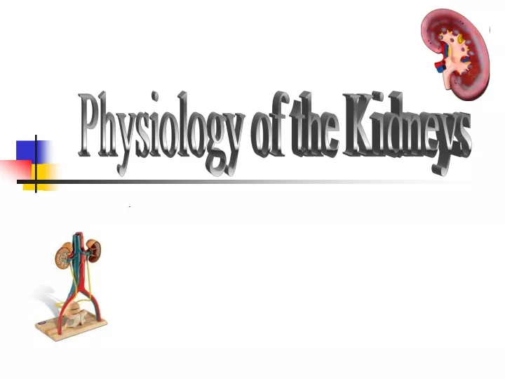 physiology of the kidneys