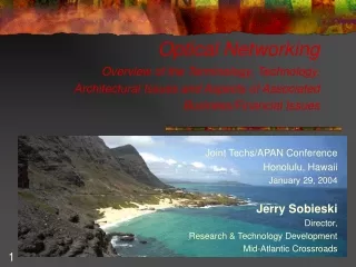 Joint Techs/APAN Conference Honolulu, Hawaii January 29, 2004 Jerry Sobieski Director,