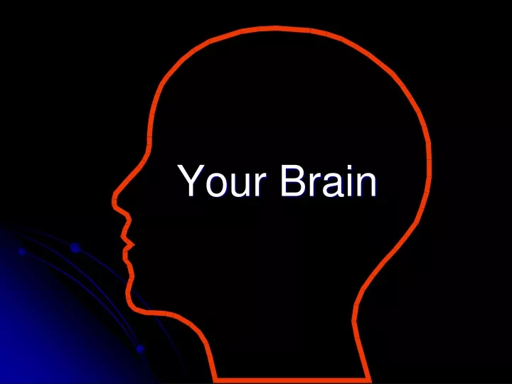 your brain