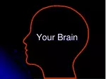 Your Brain - slide 1