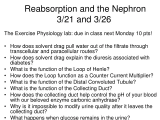 Reabsorption and the Nephron  3/21 and 3/26