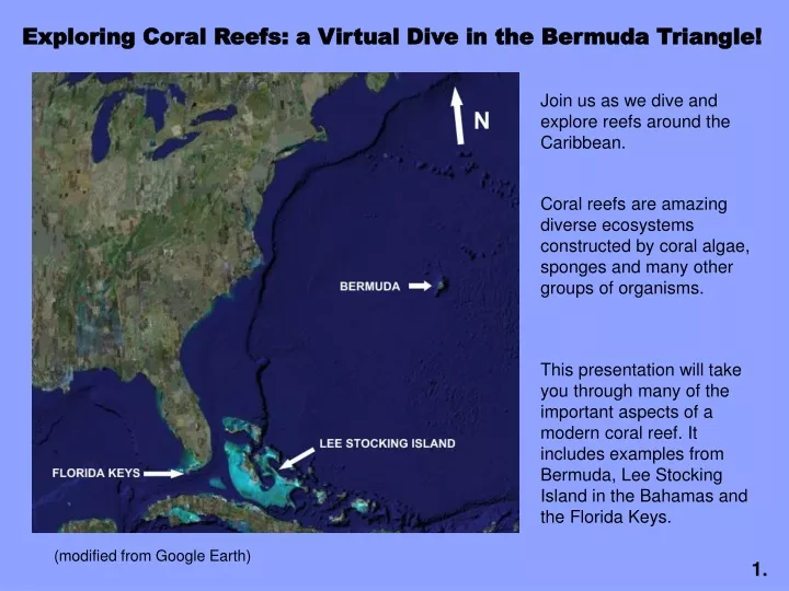 exploring coral reefs a virtual dive