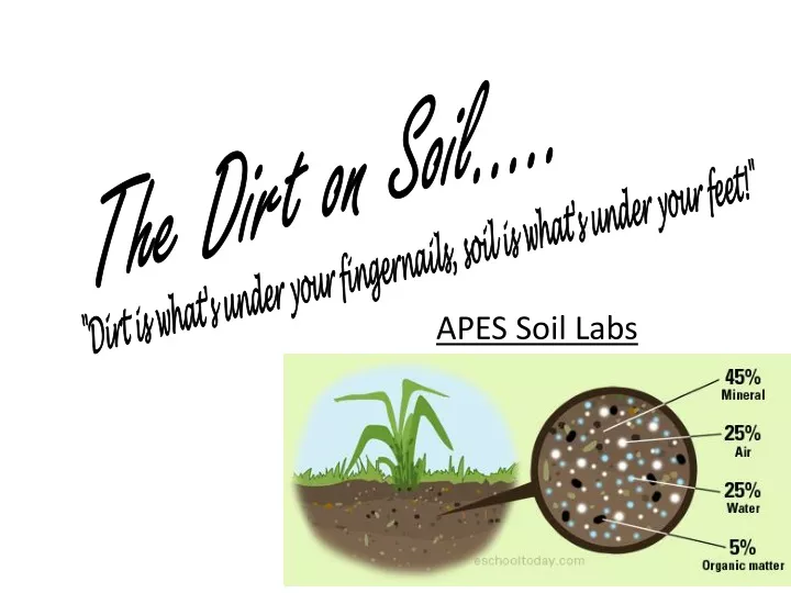 apes soil labs