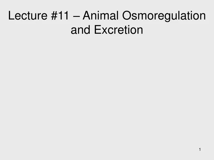 lecture 11 animal osmoregulation and excretion