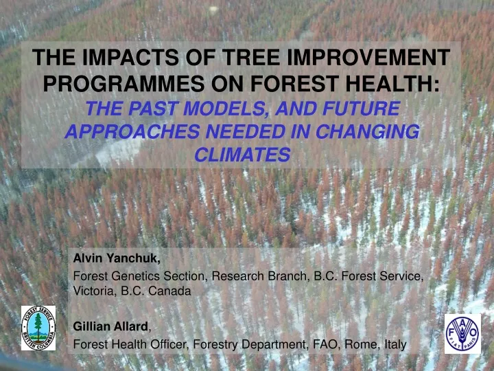 the impacts of tree improvement programmes