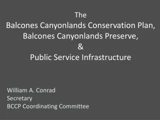 William A. Conrad Secretary BCCP Coordinating Committee