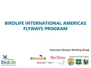 BIRDLIFE INTERNATIONAL AMERICAS FLYWAYS PROGRAM