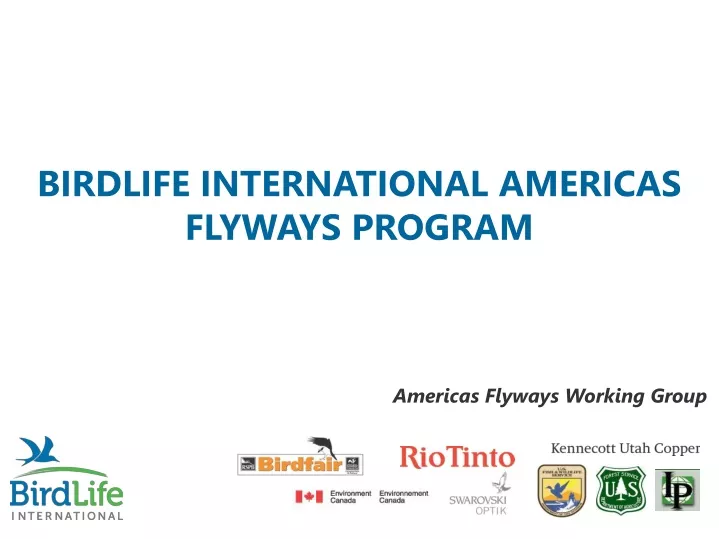 birdlife international americas flyways program