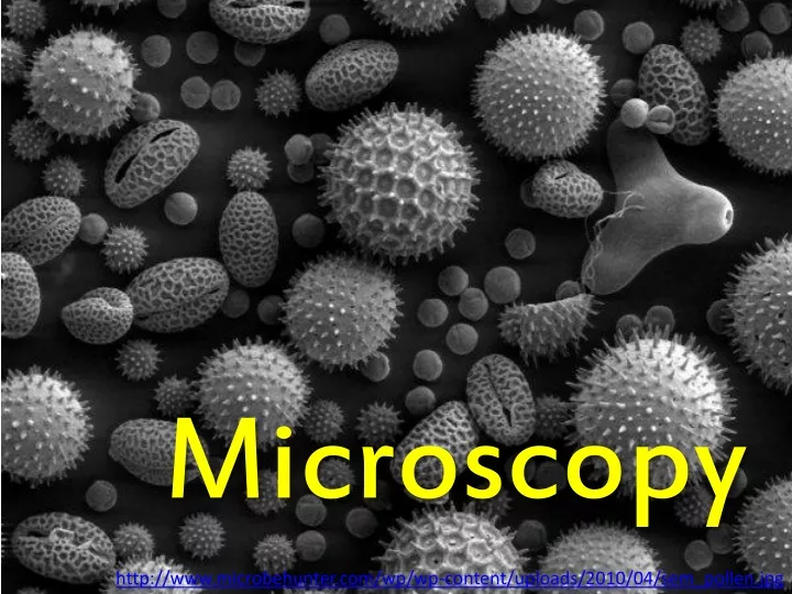 microscopy