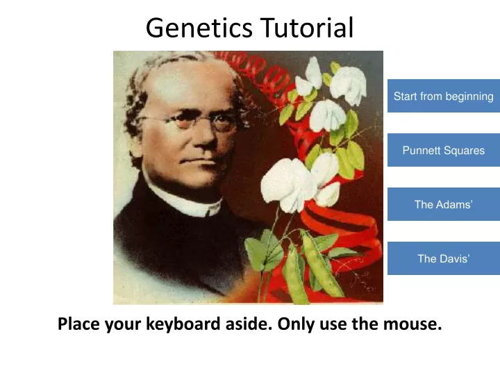 genetics tutorial