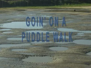 GOIN' ON A  PUDDLE WALK