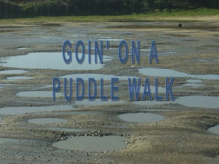 goin on a puddle walk