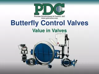 Butterfly Control Valves Value in Valves