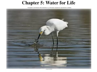 Chapter 5: Water for Life