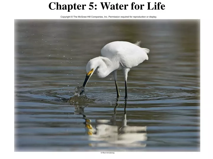 chapter 5 water for life