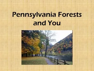Pennsylvania Forests and You