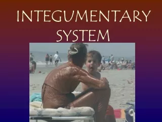 INTEGUMENTARY SYSTEM