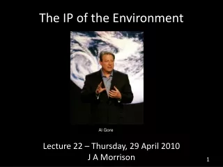 The IP of the Environment