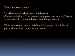 What is a Metazoan? In other words what are the inherent