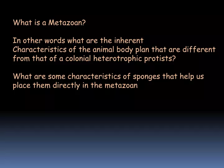what is a metazoan in other words what