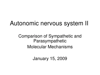 Autonomic nervous system II