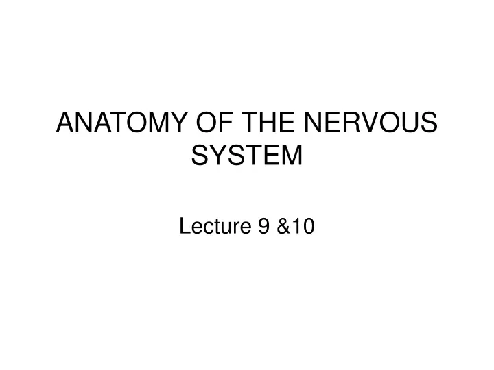 anatomy of the nervous system
