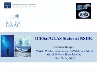 ICESat/GLAS Status at NSIDC