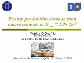 Beauty production cross section measurements at  E cm  = 1.96 TeV