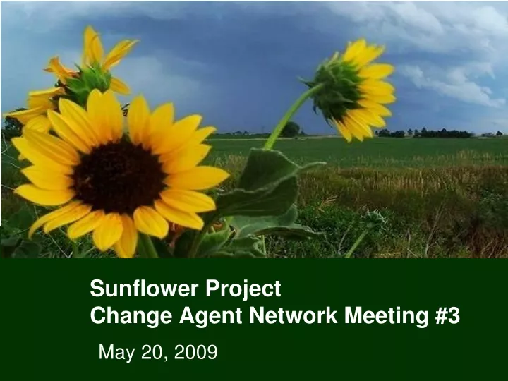sunflower project change agent network meeting 3