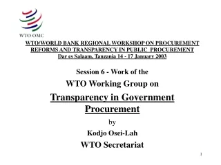 Session 6 - Work of the WTO Working Group on Transparency in Government Procurement by