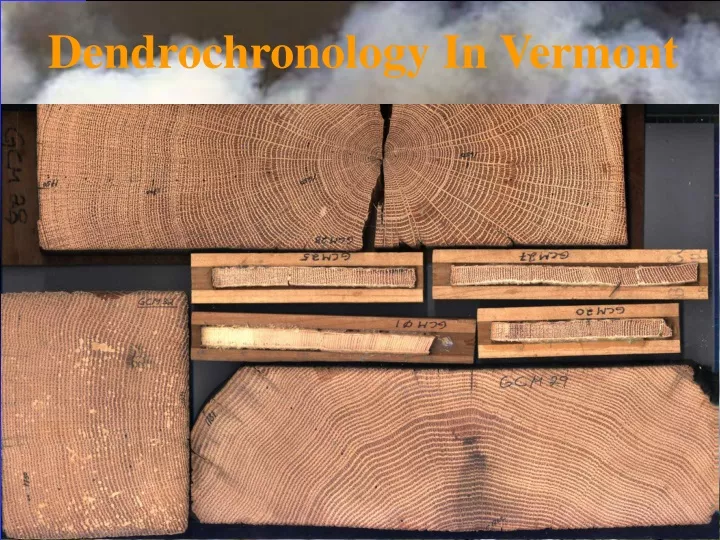dendrochronology in vermont