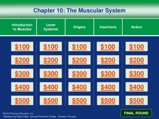 Chapter 10: The Muscular System