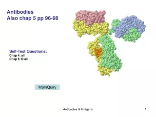 Antibodies  Also chap 5 pp 96-98