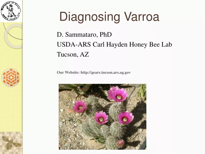diagnosing varroa