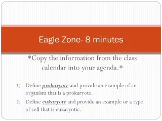 Eagle Zone- 8 minutes