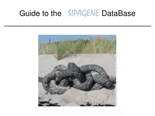 Guide to the   SIPAGENE DataBase