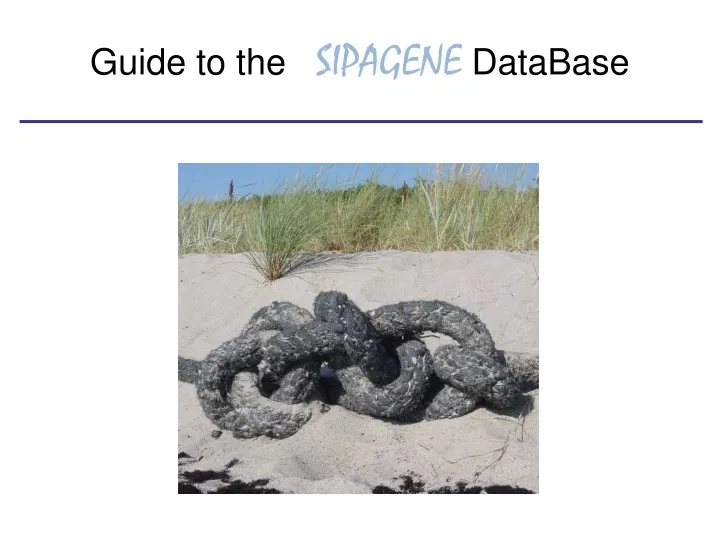 guide to the sipagene database