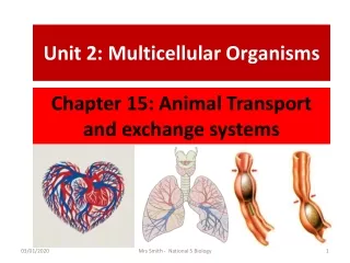 Chapter 15: Animal Transport and exchange systems