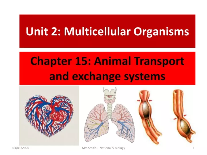 chapter 15 animal transport and exchange systems