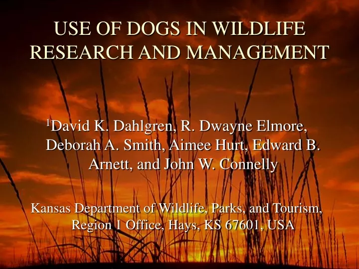 use of dogs in wildlife research and management